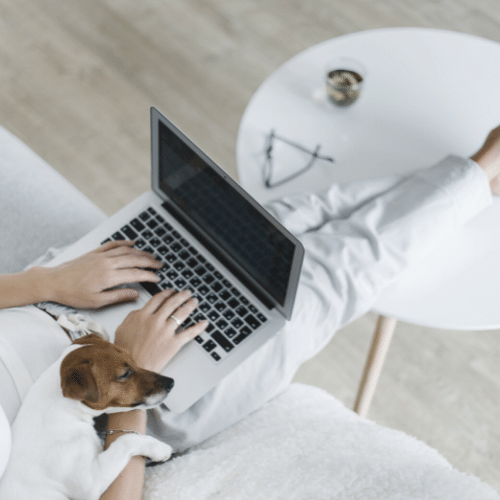person sitting on couch with feet propped up on coffee table. they have a laptop open on their lap and a small dog sleeping on their arm