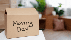 how to easily prepare for a move